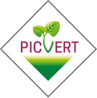 logo picvert